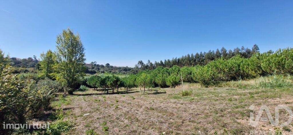 Casa / Villa T4 em Benedita de 225,00 m2 - Grande imagem: 4/30