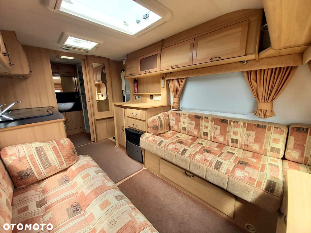 Avondale Argente - 7