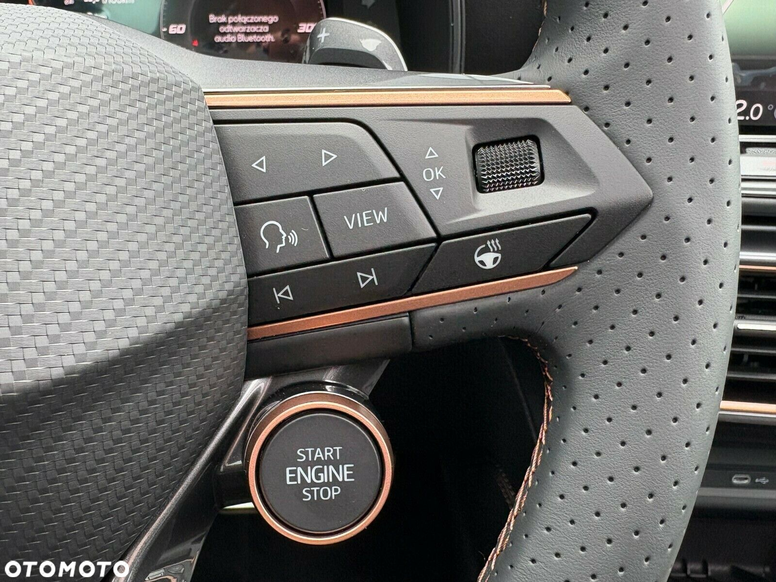 Cupra Formentor 2.0 TSI 4Drive VZ DSG - 26