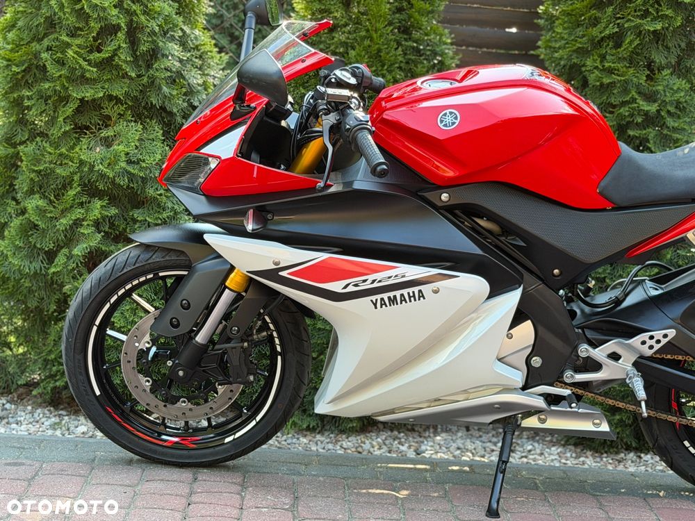 Yamaha YZF - 19