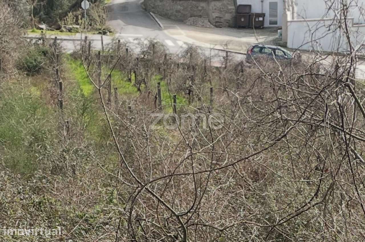 Terreno em Cerva – 1.800 m² | Excelente localização - Grande imagem: 3/14