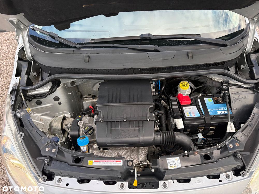 Ford KA - 31
