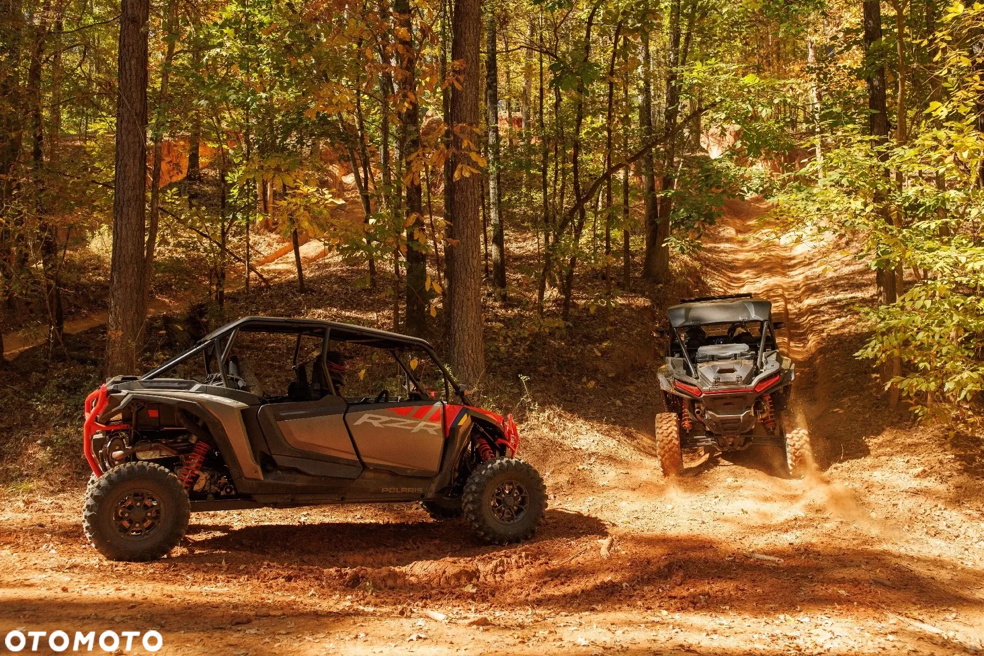 Polaris RZR - 9