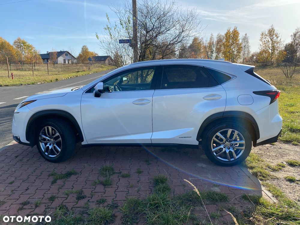 Lexus NX 300h Comfort AWD - 7