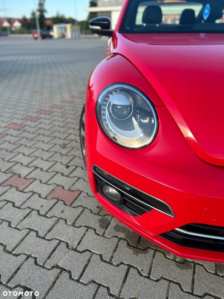 Volkswagen Beetle - 24
