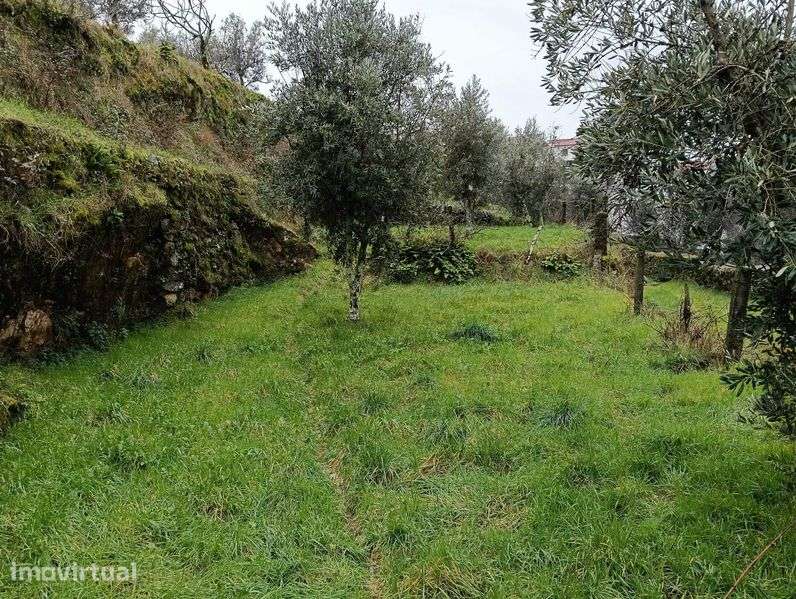 Terreno Único c/Ruína e Vista Serra  – Ideal Projeto Turístico/Refúgio - Grande imagem: 3/11