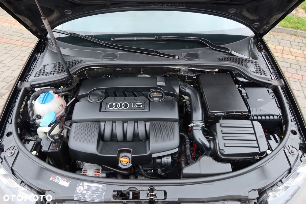 Audi A3 3-drzwiowe 1.6 Ambition - 19