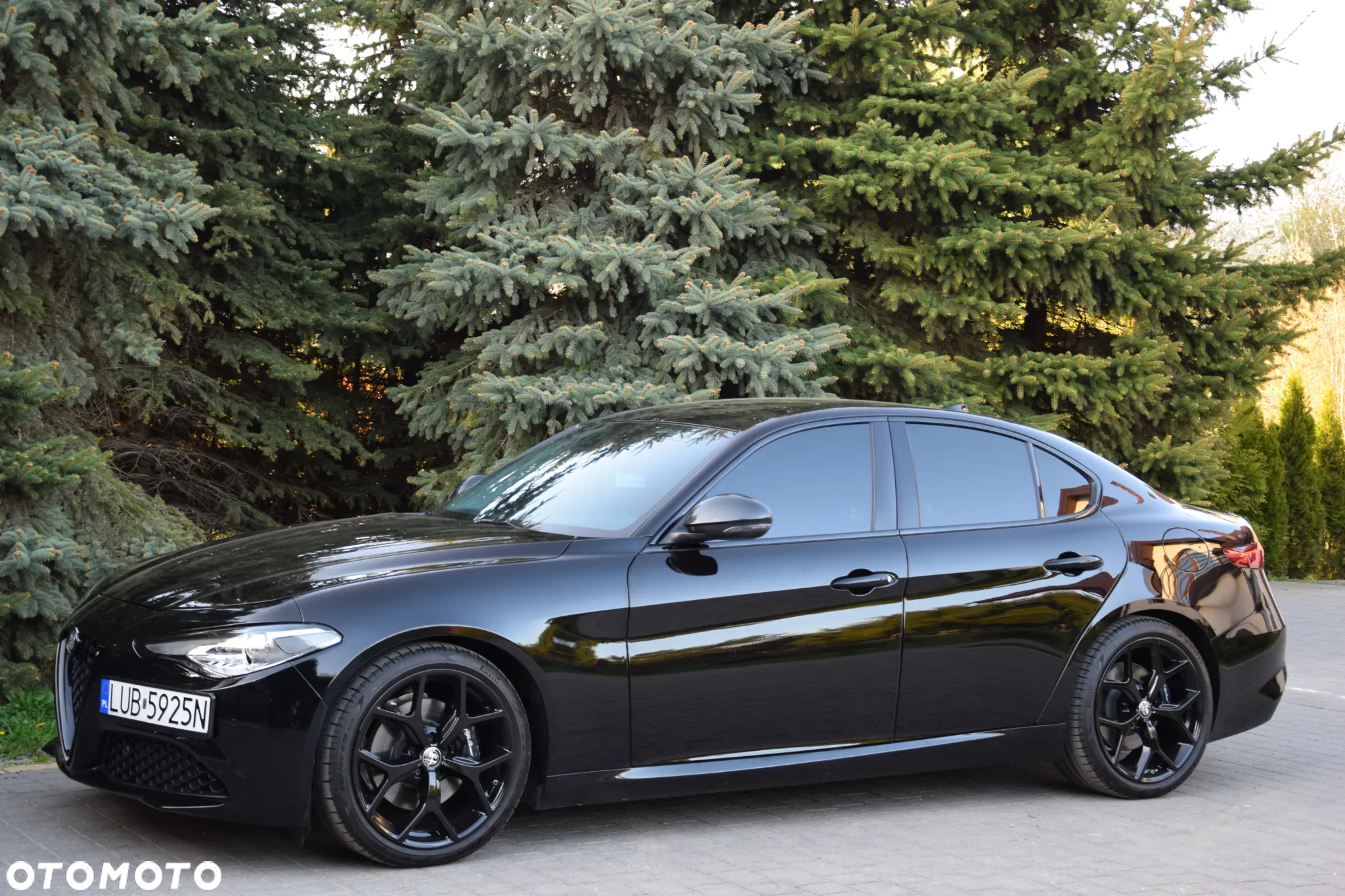Alfa Romeo Giulia 2.0 Turbo 16V AT8 Veloce - 5