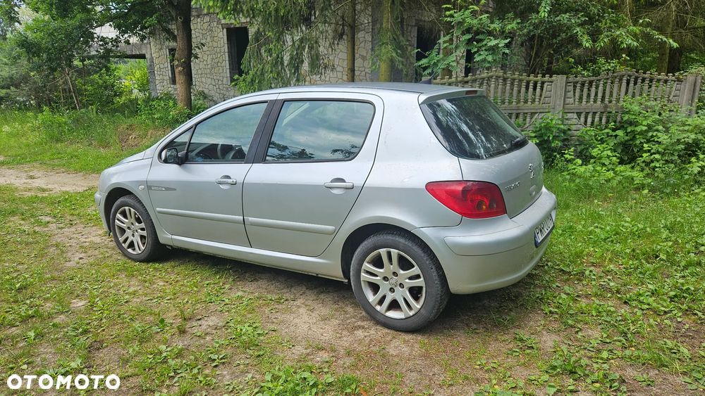Peugeot 307 1.6 HDi - 10