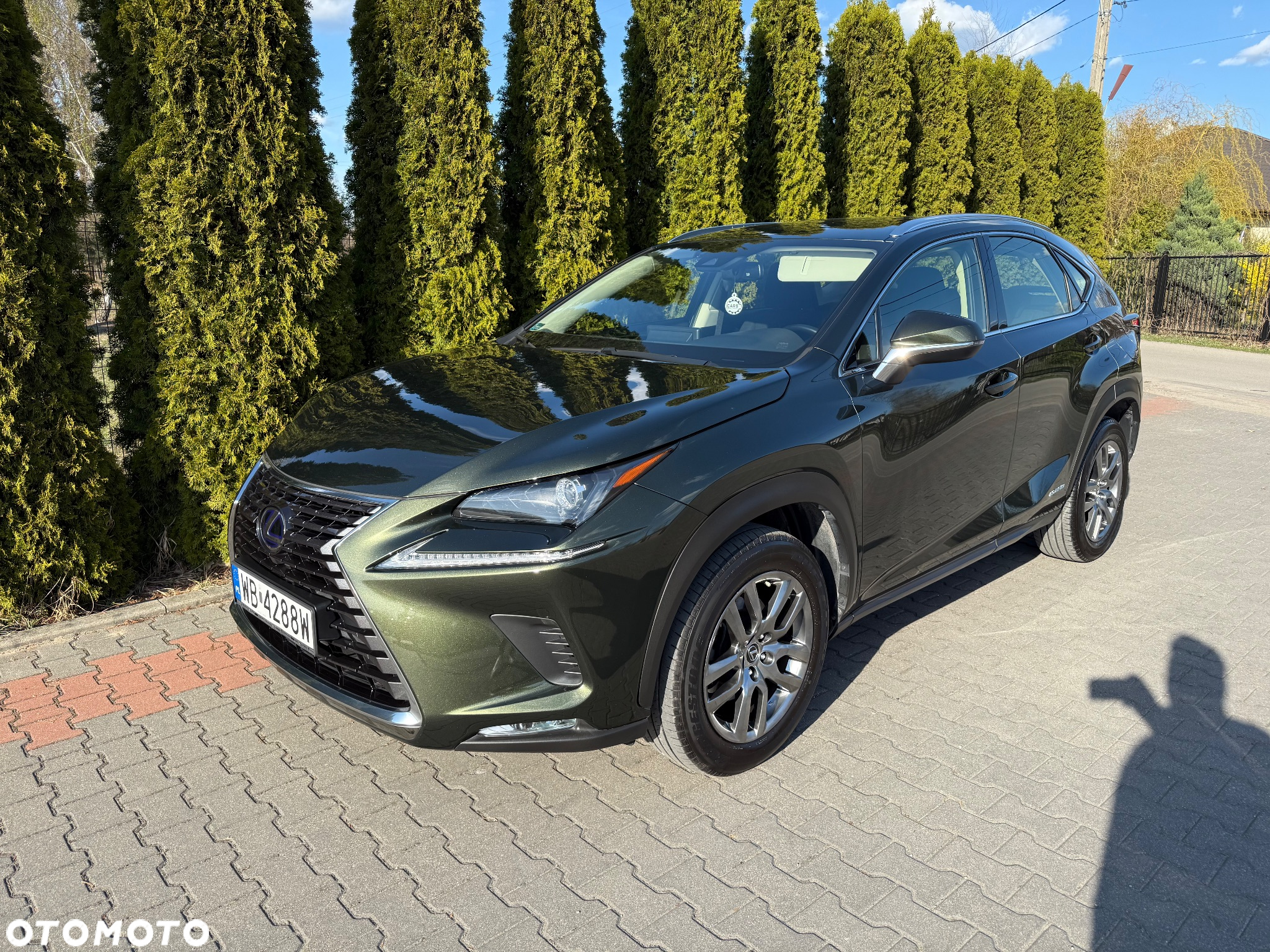 Lexus NX - 20