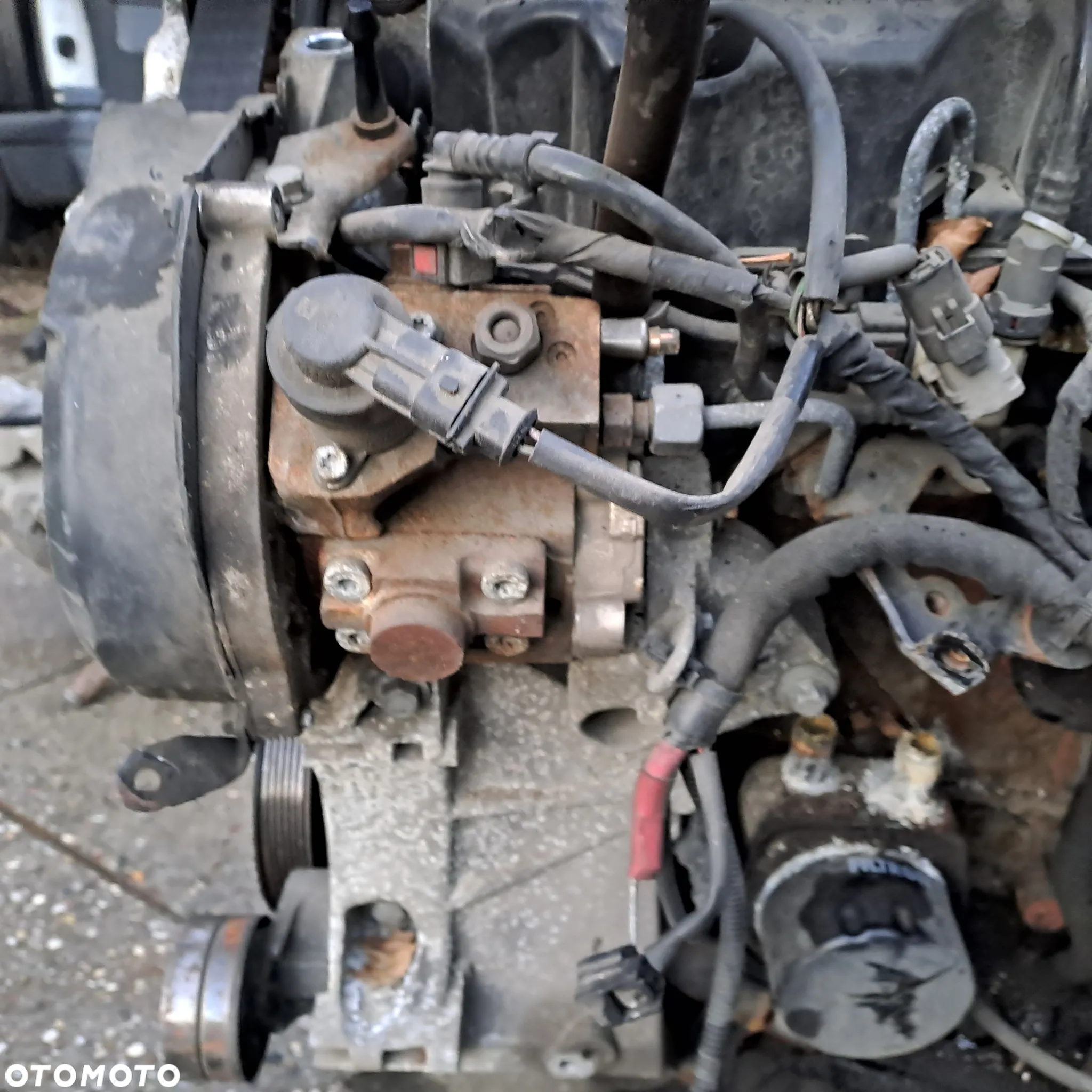 Renault Scenic III 1.9 DCi 131KM silnik kompletny kod F9Q872 F9Q870 niski przebieg - 7