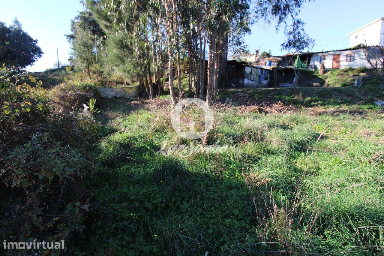 Terreno para construção de moradia c/ 2000m2 em Sequeiró, Stº Tirso - Grande imagem: 4/10
