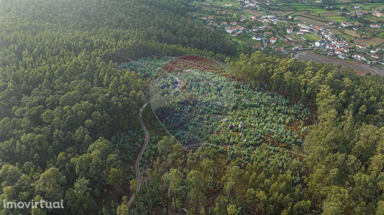 Terreno  para venda - Grande imagem: 3/11