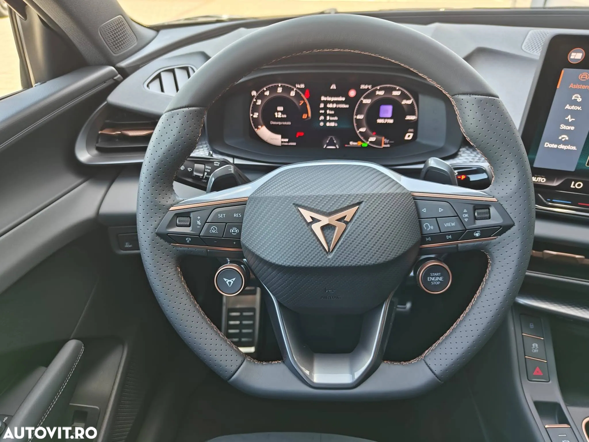 Cupra Terramar - 8