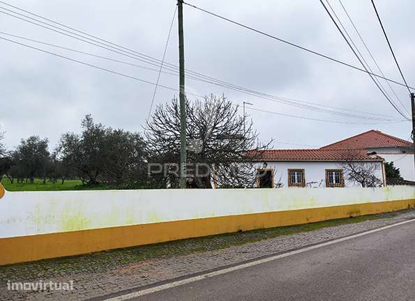 Quinta em Avis - Grande imagem: 3/30