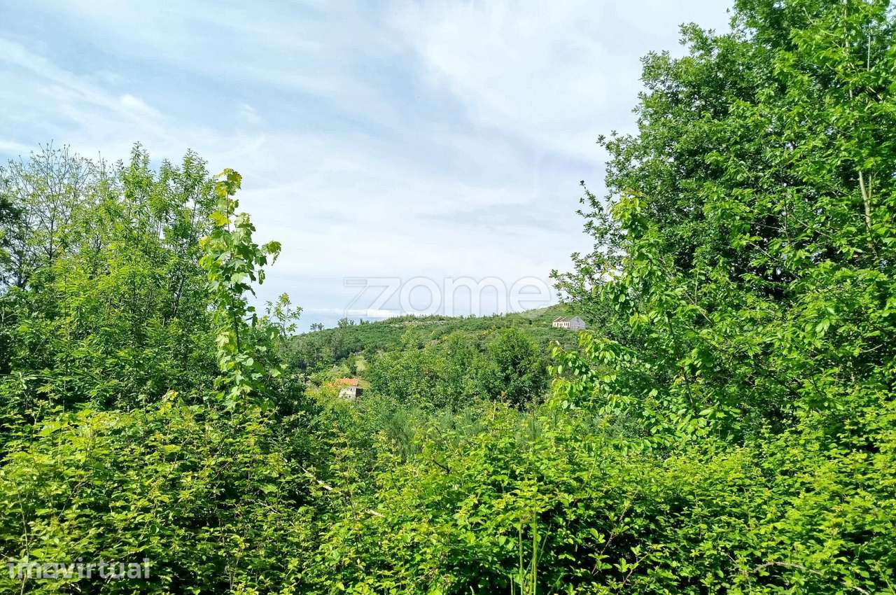 Terreno para venda na Serra da Estrela com ruína para reabilitar - Grande imagem: 5/29
