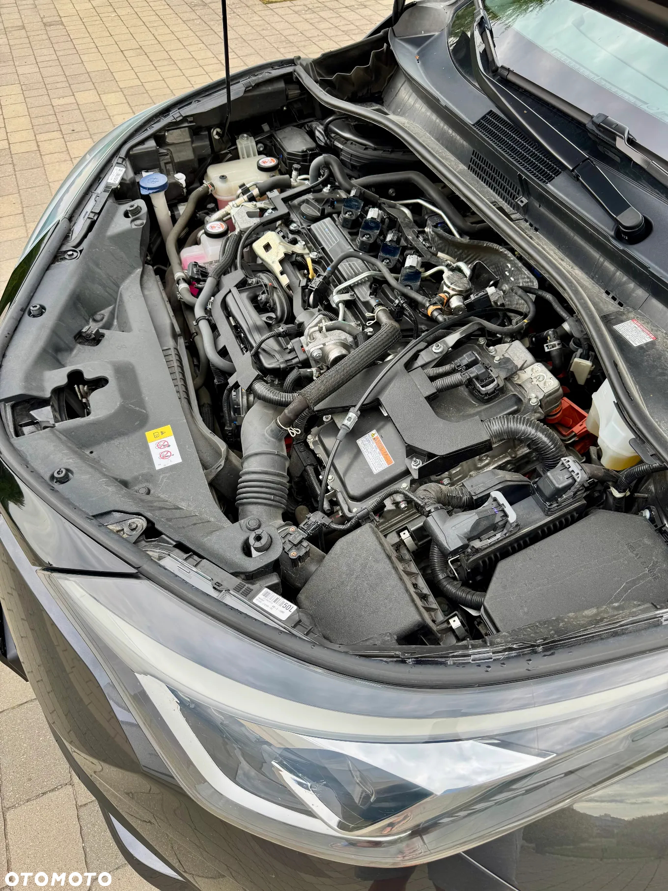 Toyota C-HR 2.0 Hybrid Black Edition - 26