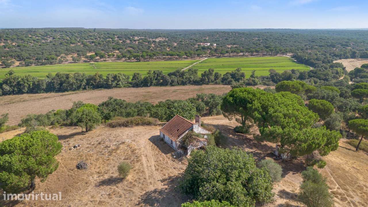 Herdade 176.6 ha, Montemor-o-Novo - Grande imagem: 3/25