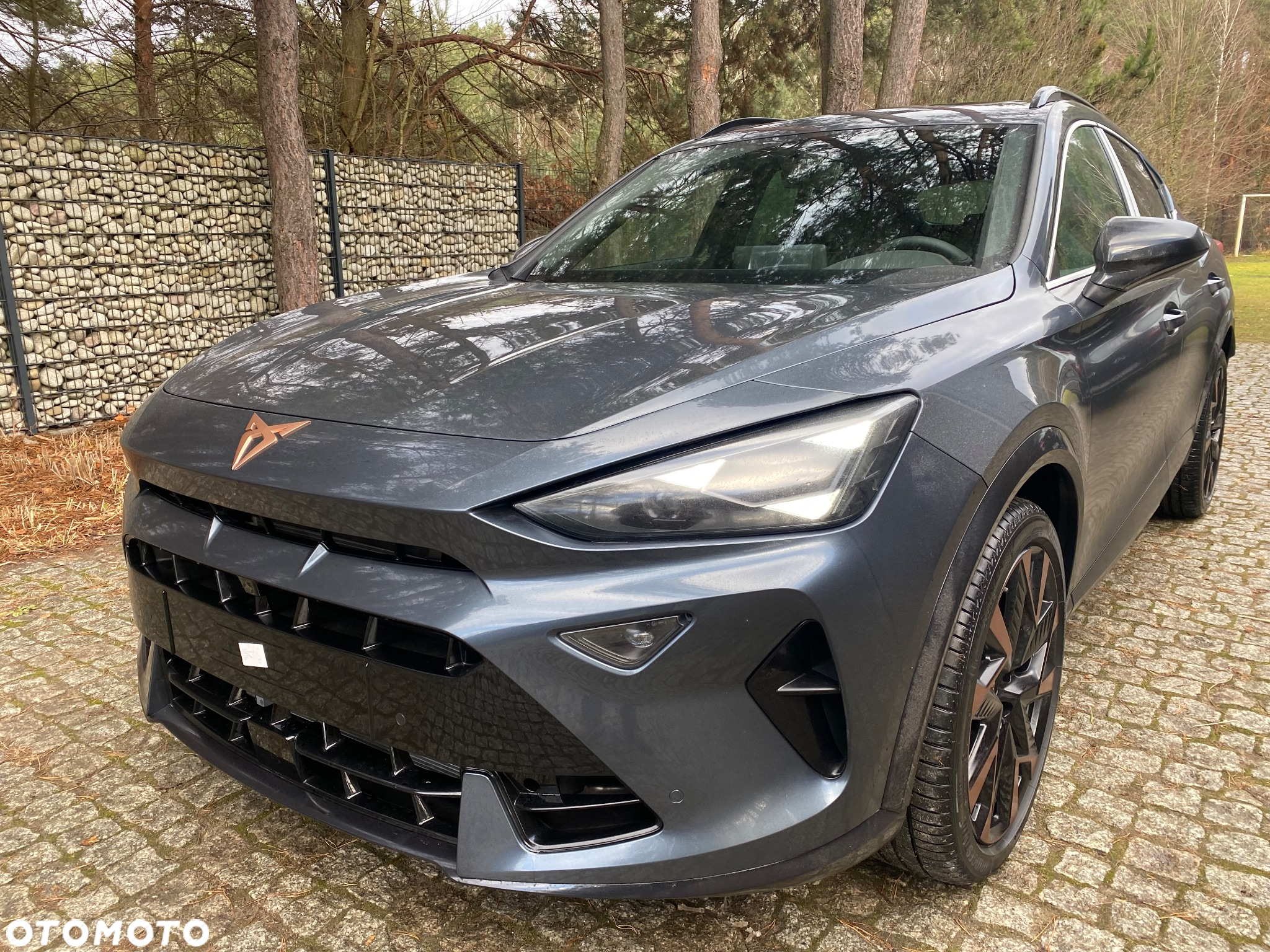 Cupra Formentor 2.0 TSI 4Drive VZ DSG - 25
