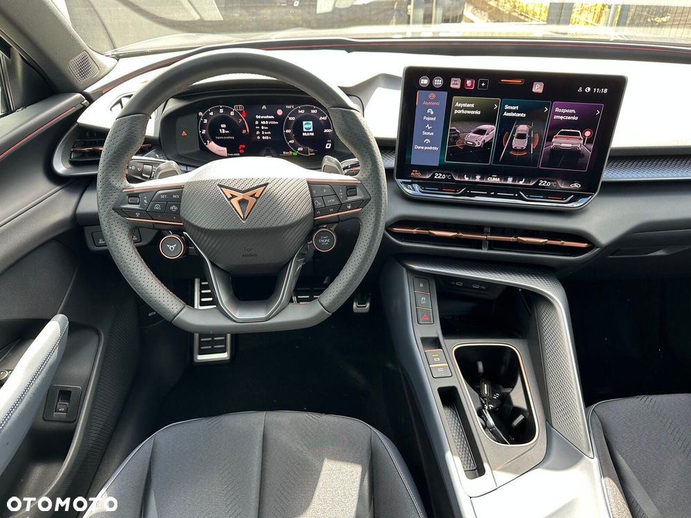 Cupra Terramar 2.0 TSI 4Drive DSG - 25