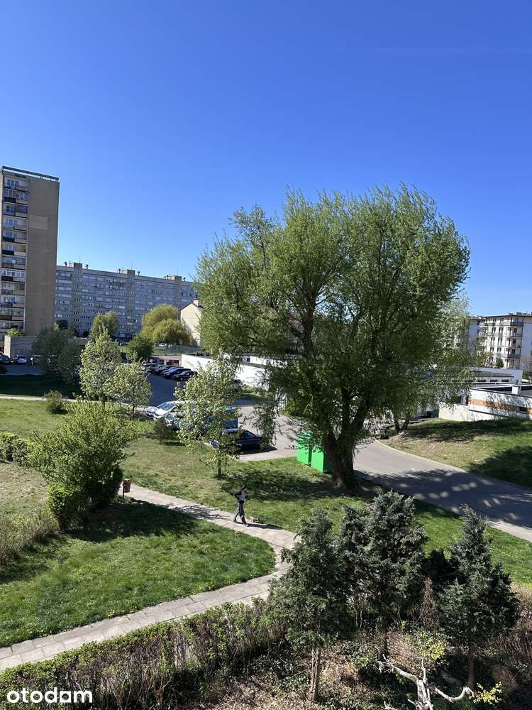 Przestronne 3 pokoje z dużym potencjałem, świetna lokalizacja!
