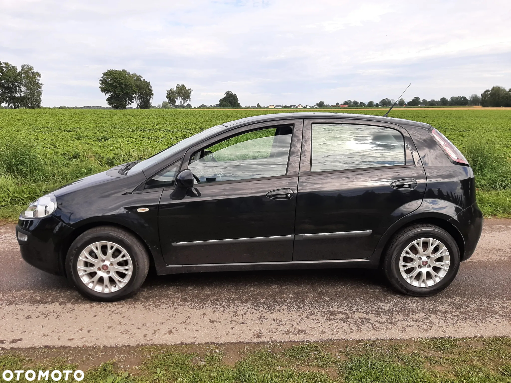 Fiat Punto Evo 1.4 8V Dynamic - 13