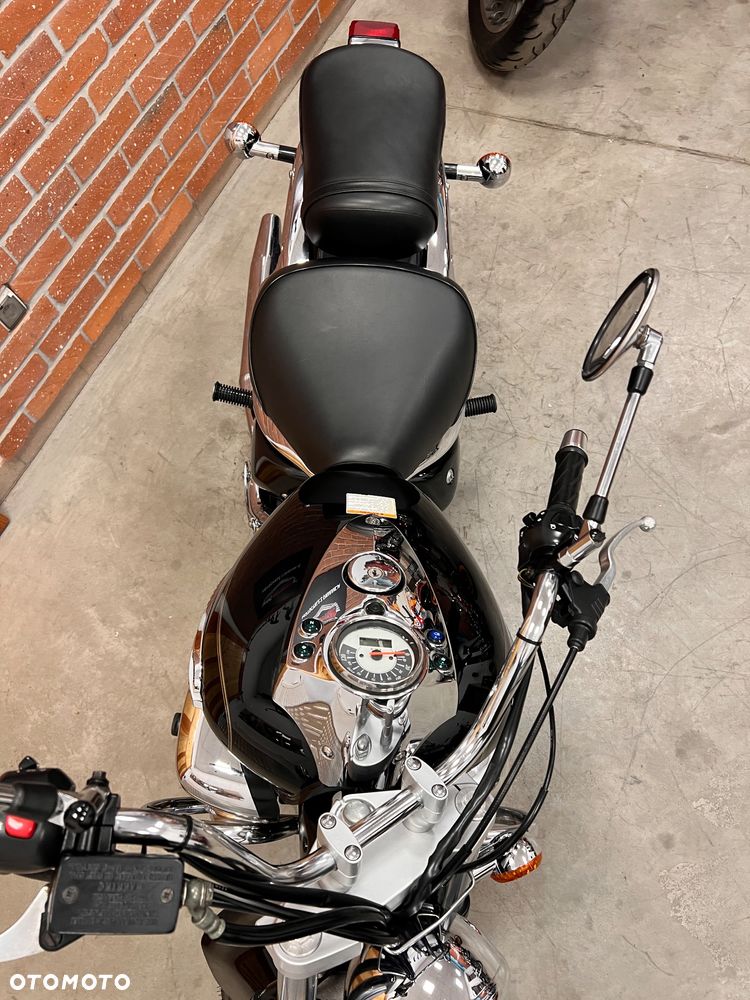 Suzuki Intruder - 19