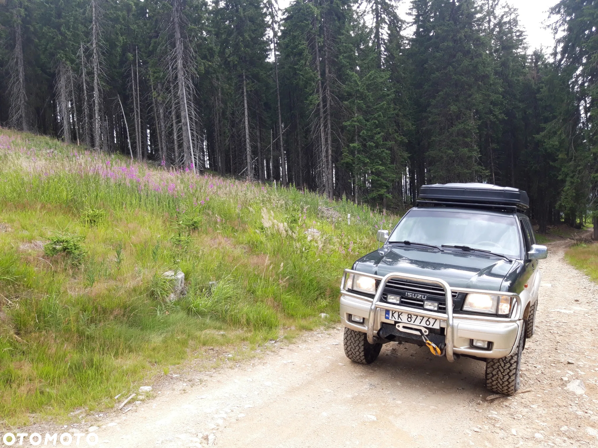 Isuzu Trooper 3.5 V6 standard - 6