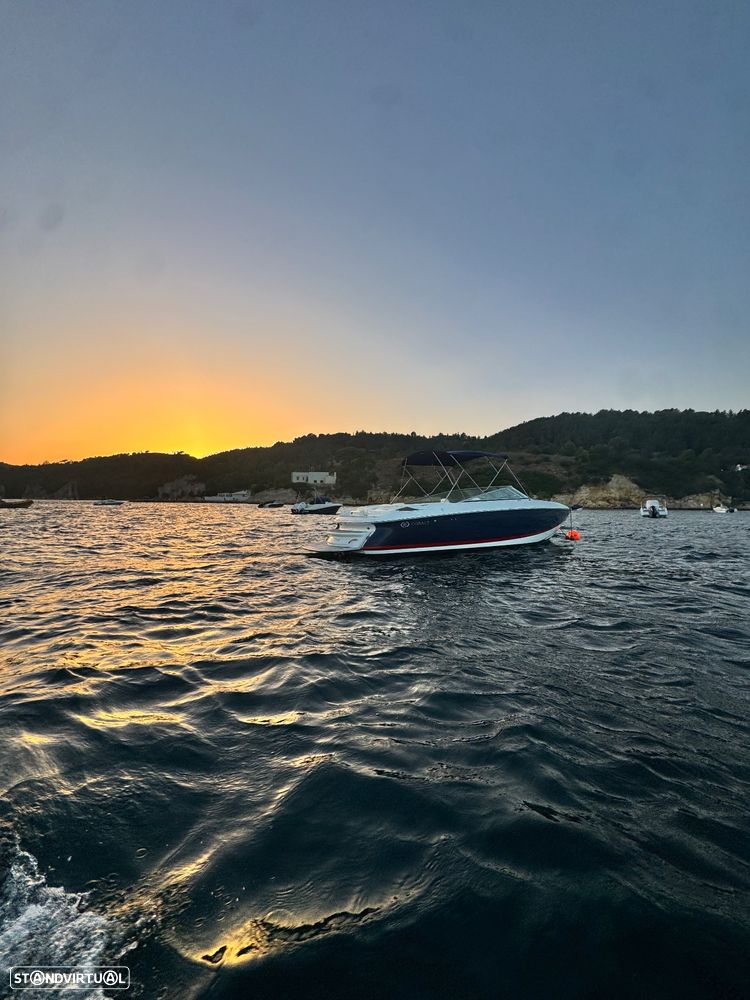 Cobalt Marine 250 - 23