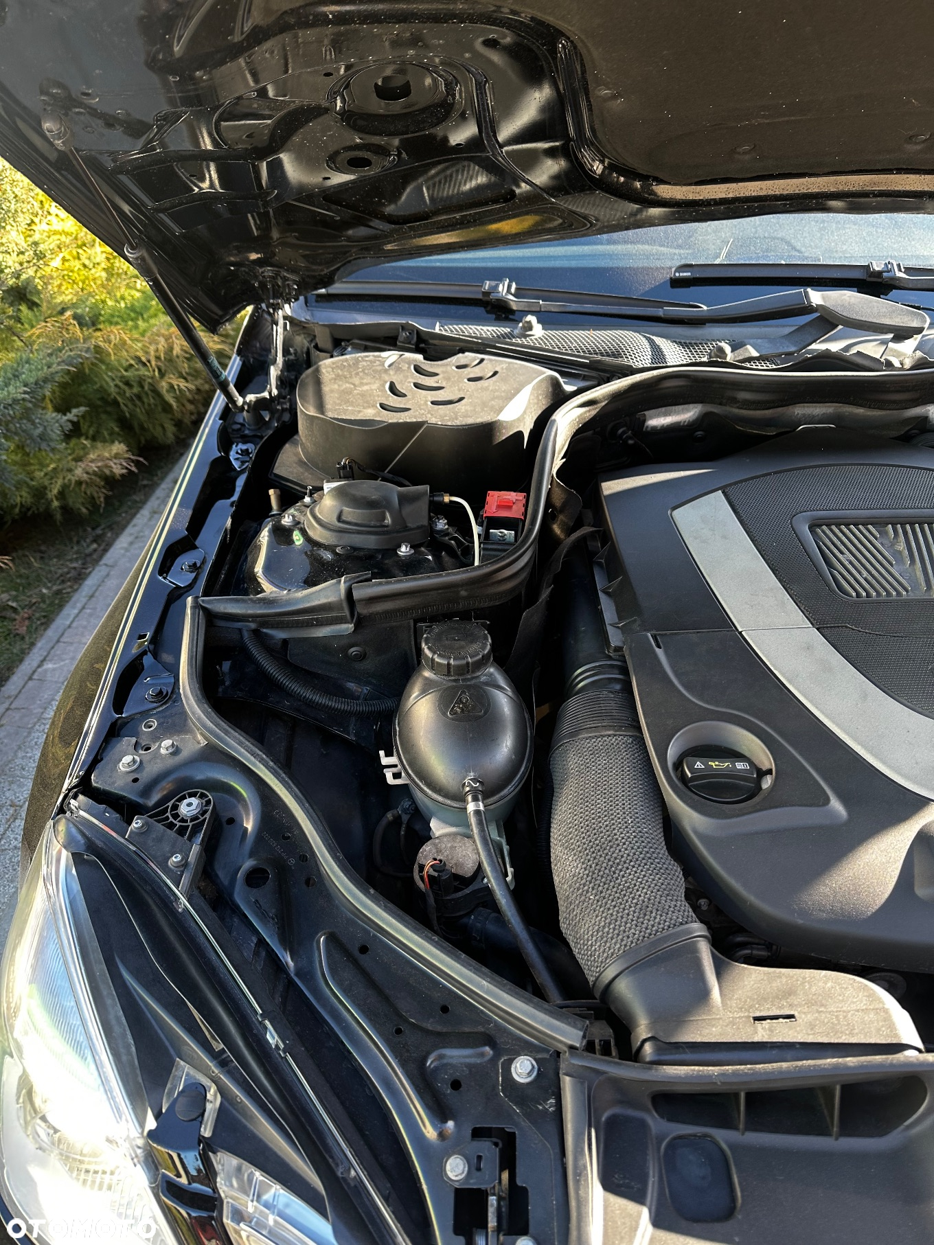 Mercedes-Benz Klasa E 500 Avantgarde - 14
