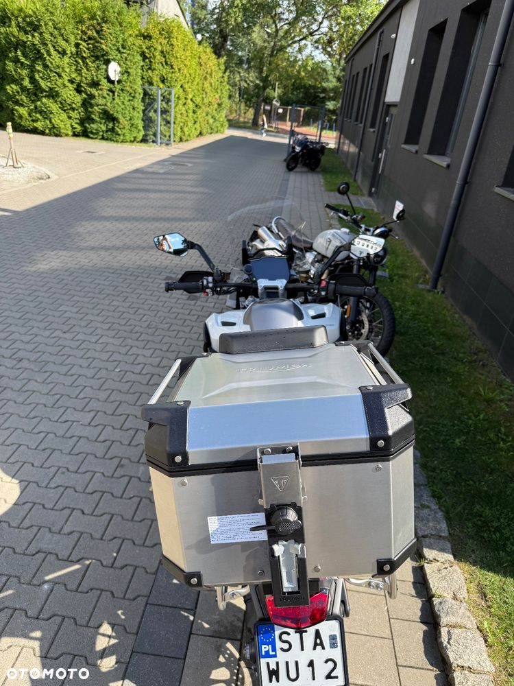 Triumph Tiger - 4