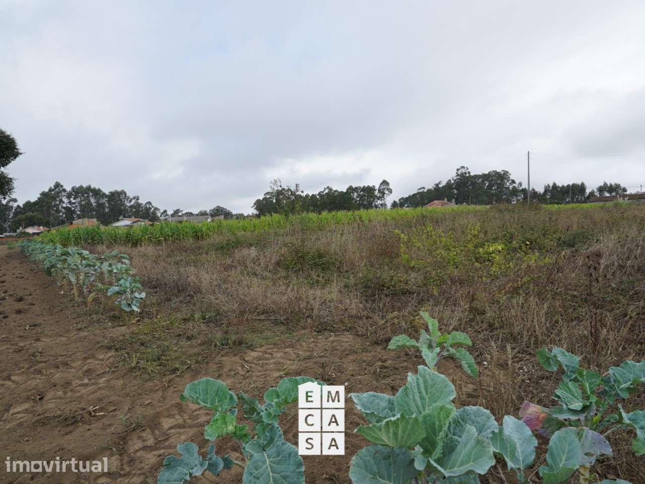 Terreno  Venda em São Miguel do Souto e Mosteirô,Santa Maria da Feira - Grande imagem: 2/15