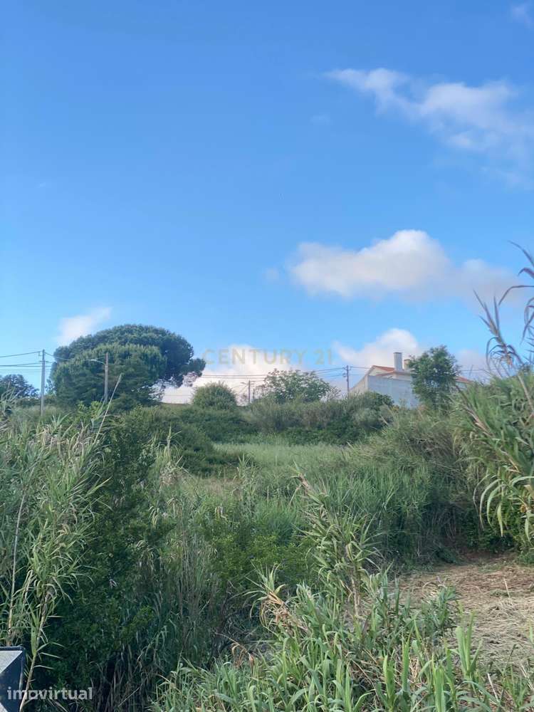 Terreno para Construção – Santa Catarina, Leiria - Grande imagem: 3/4