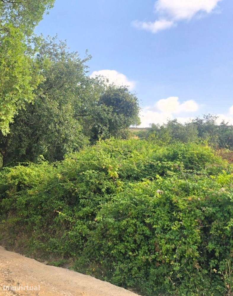 Terreno de 2.880 m² no Arneiro - Oportunidade no Coração do Oeste - Grande imagem: 3/4
