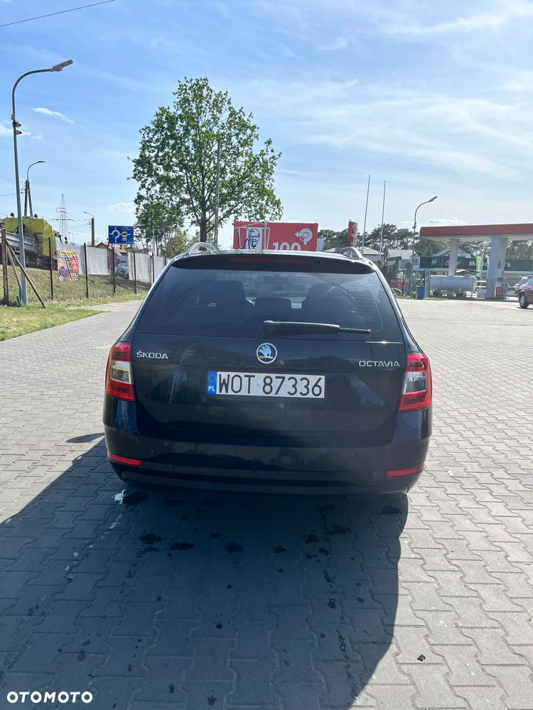 Skoda Octavia 1.6 TDI Ambition - 3