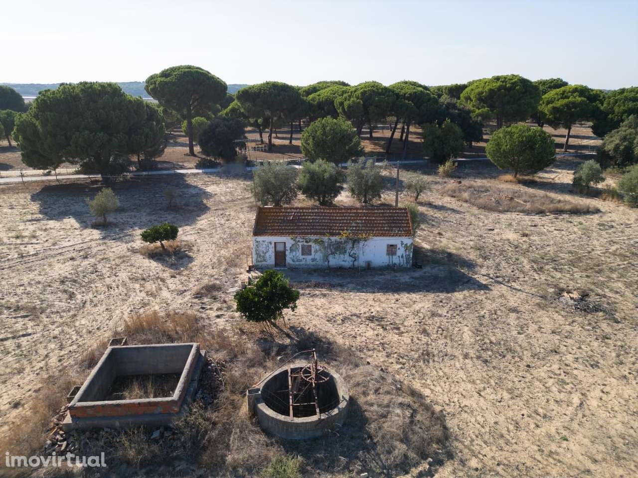 Terreno Misto 3.0 ha, Álcacer do Sal, Alcacer do Sal - Grande imagem: 2/27