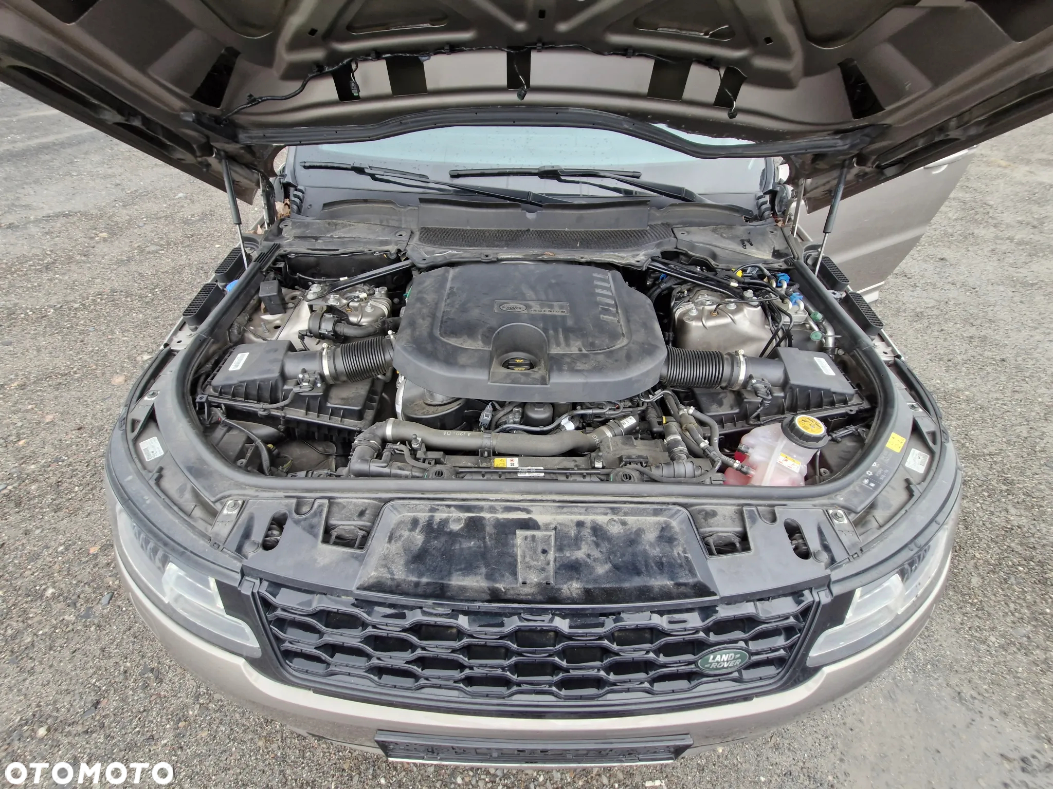 Land Rover Range Rover Sport D300 Dynamic SE - 22