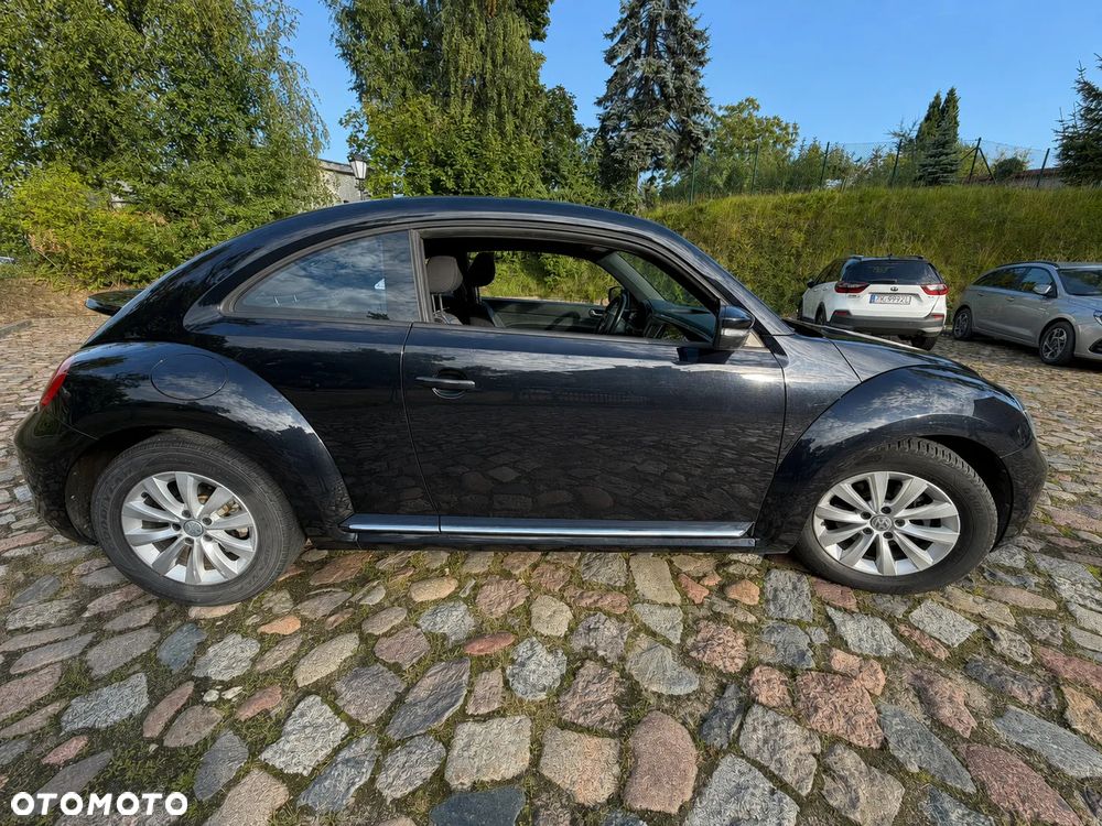 Volkswagen Beetle - 6