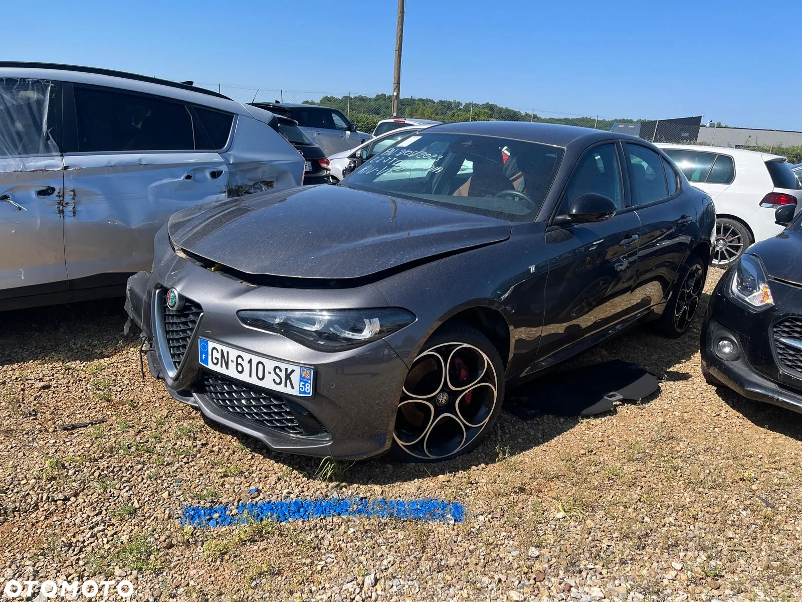 Alfa Romeo Giulia - 2