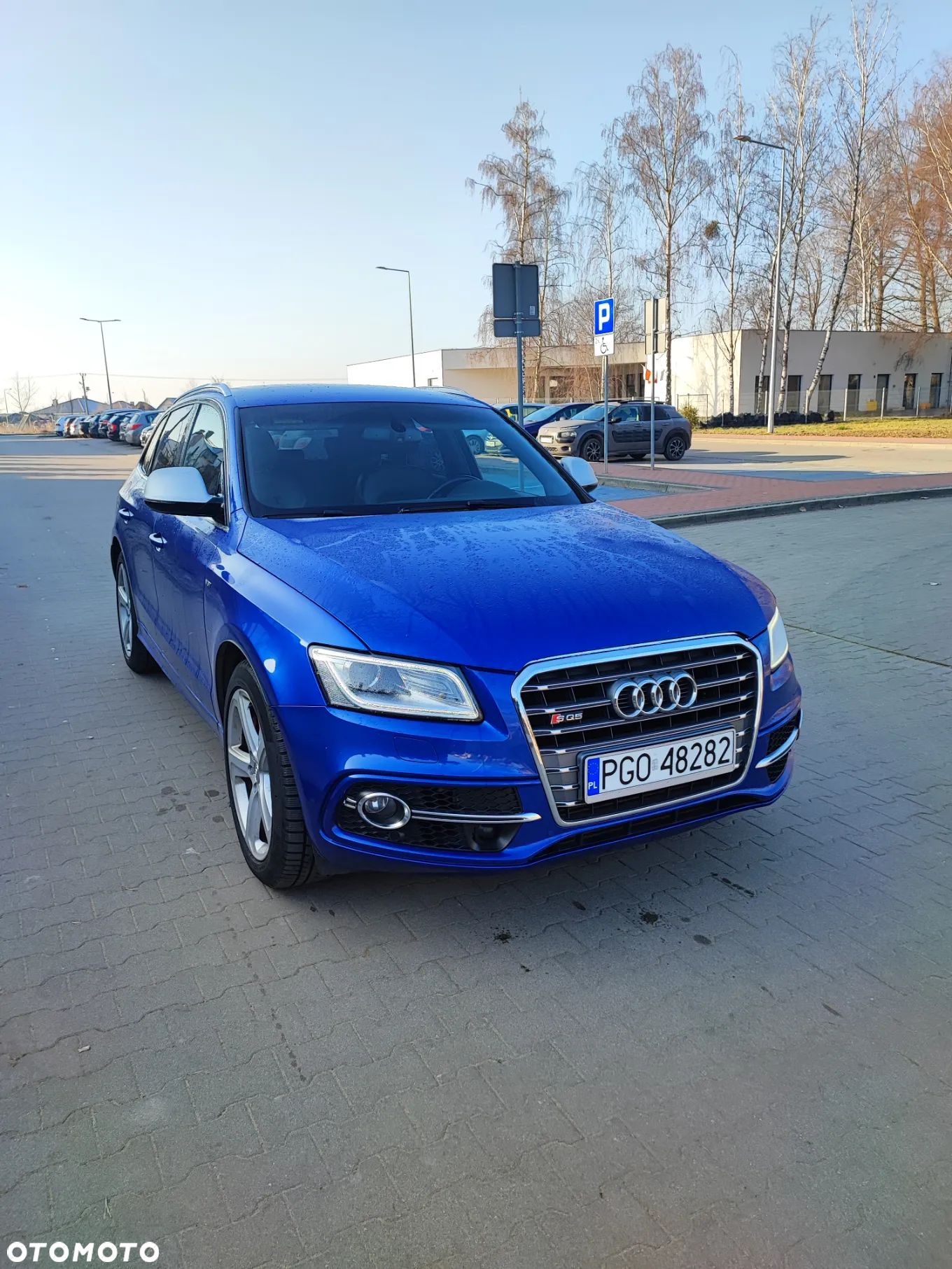 Audi SQ5 3.0 TDI Quattro Competition - 1