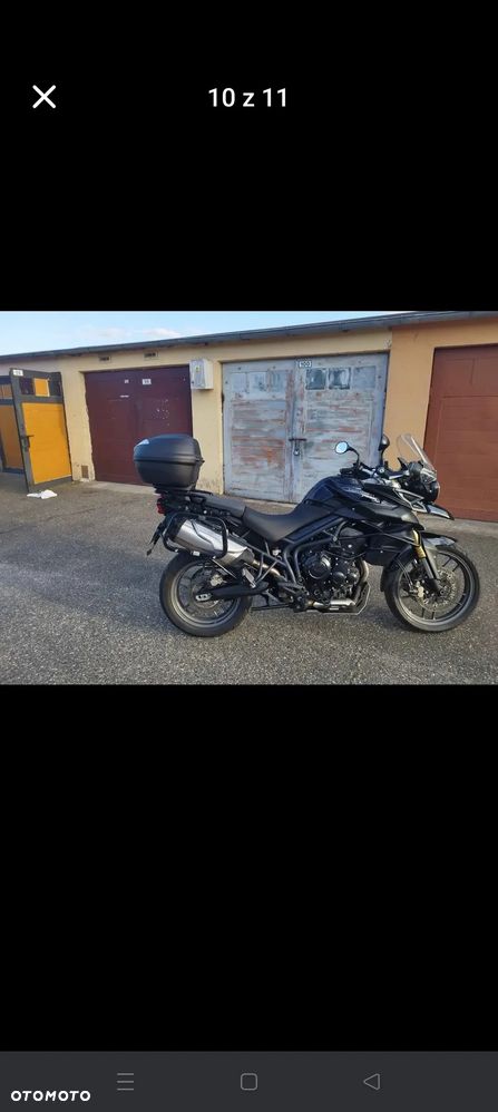 Triumph Tiger Cub