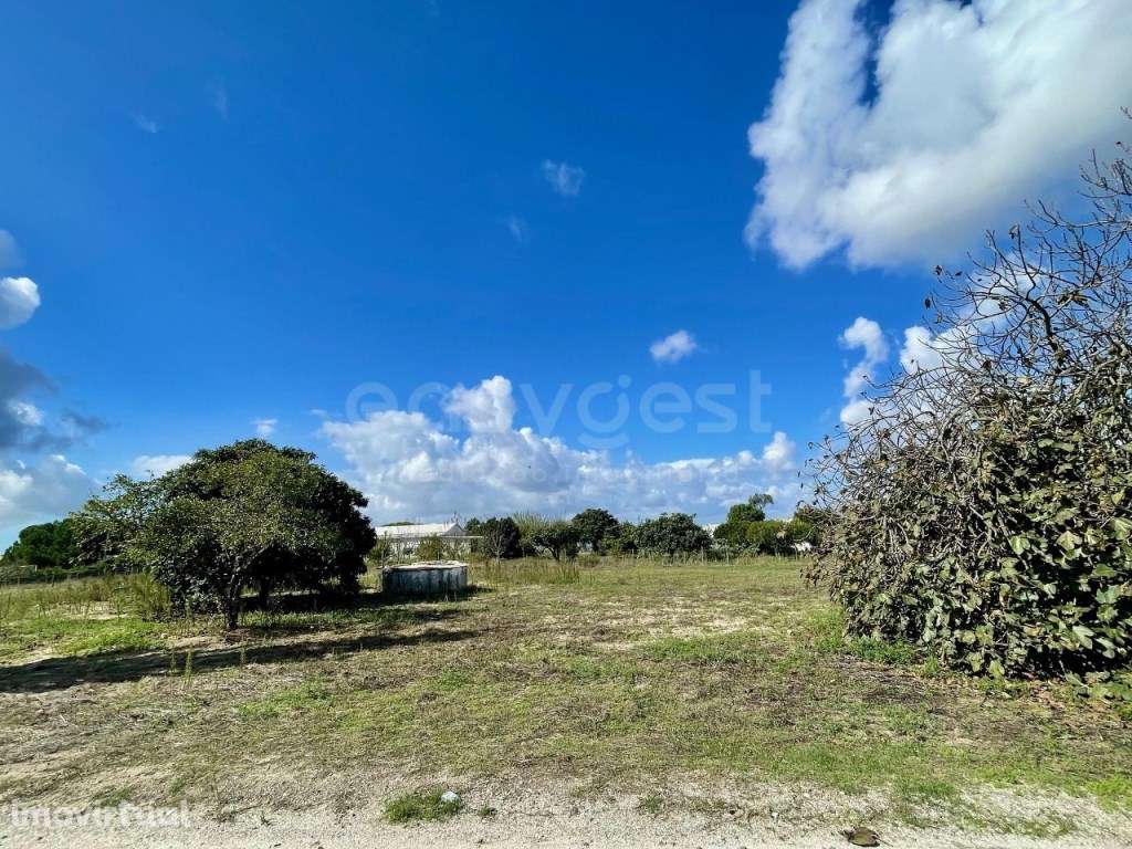 Terreno com área total de 4113mts2, em Pegões - Grande imagem: 2/6
