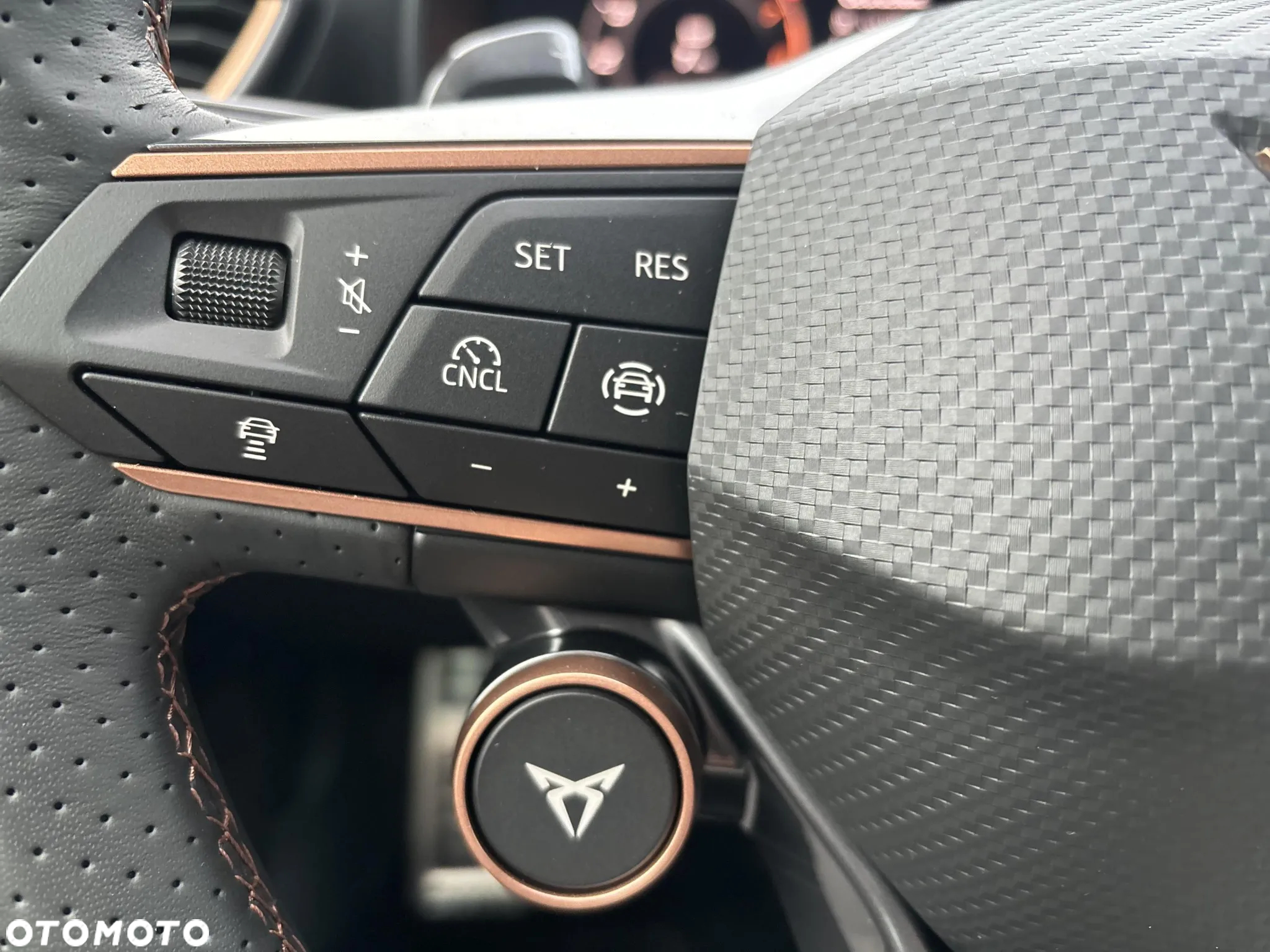 Cupra Formentor 2.0 TSI 4Drive DSG - 17