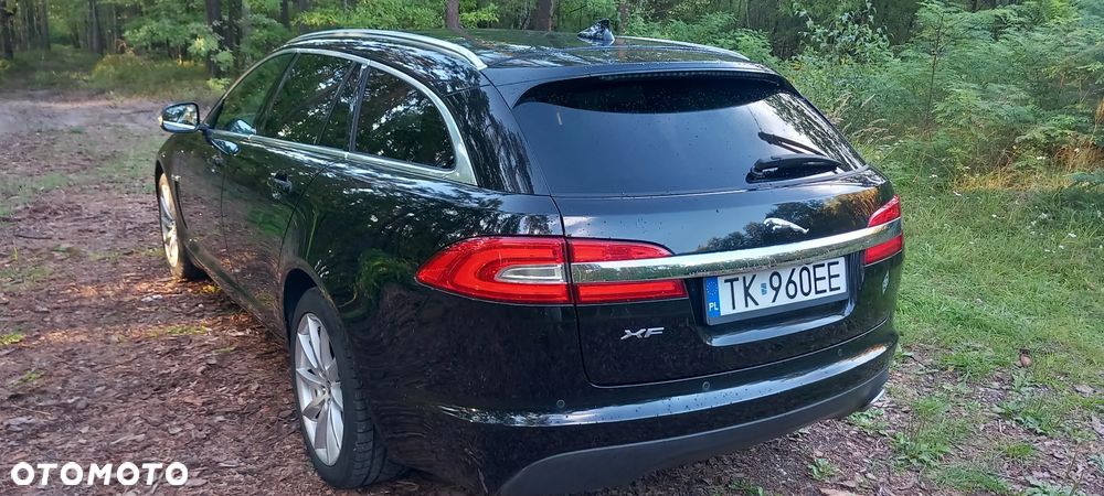 Jaguar XF 2.2 D Luxury - 13
