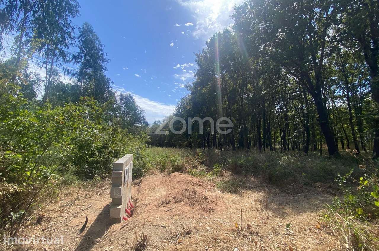Terreno urbano com 1.018 m² em zona tranquila – Barrô, Águeda - Grande imagem: 3/15