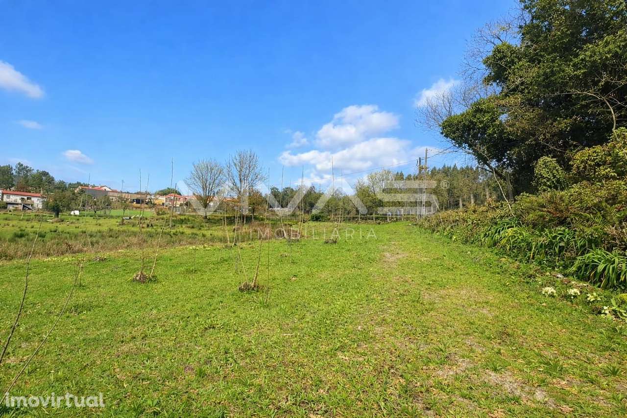 Terreno Rústico  Venda em Marrancos e Arcozelo,Vila Verde - Grande imagem: 5/9