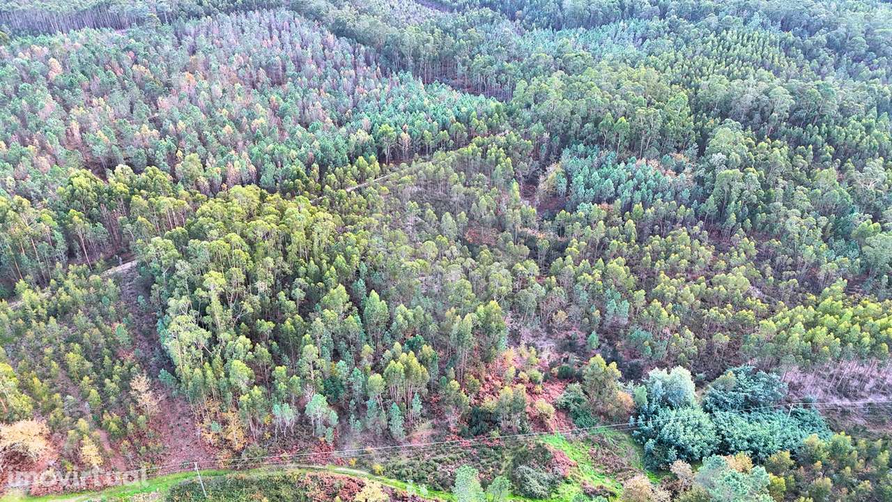 Terreno  para venda - Grande imagem: 3/4