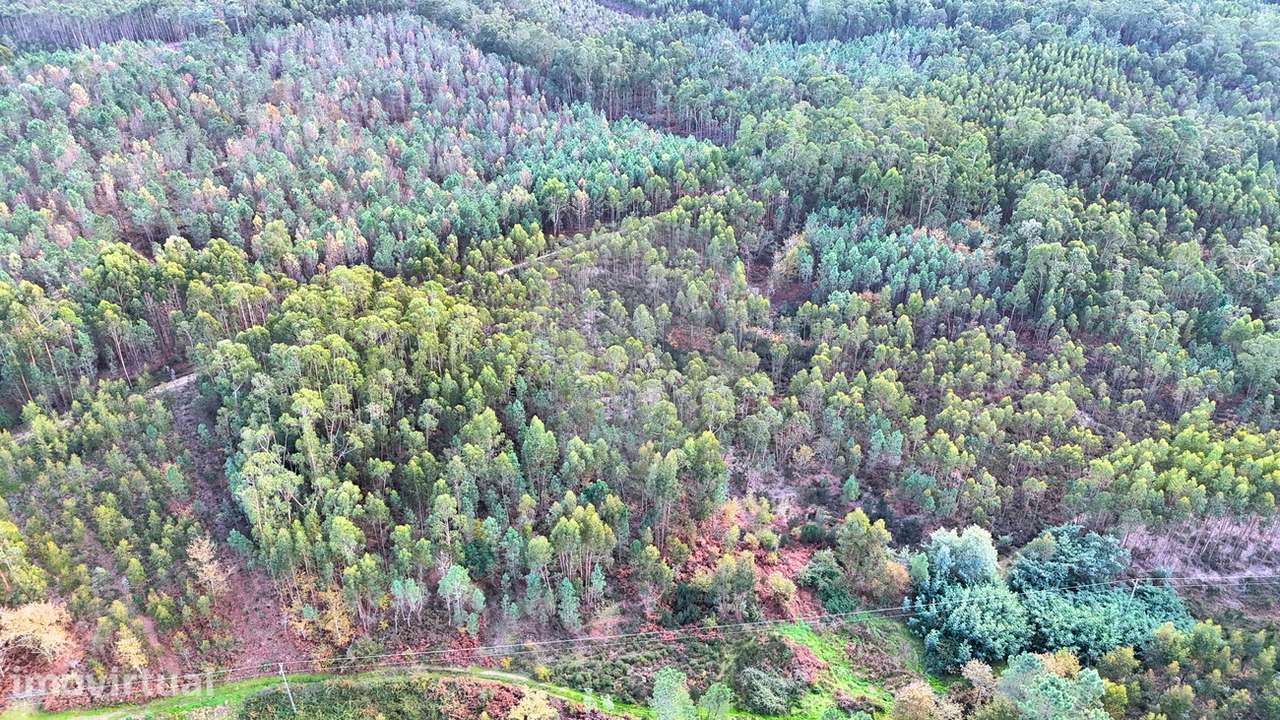 Terreno  para venda - Grande imagem: 3/4