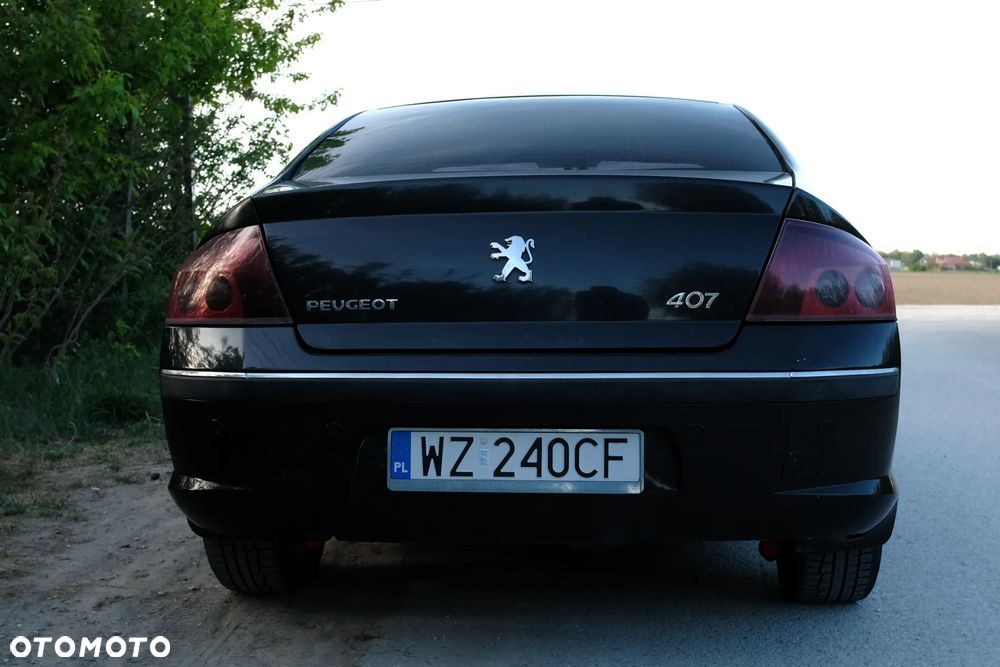 Peugeot 407 - 6