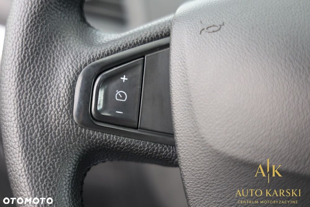 Renault Scenic - 21